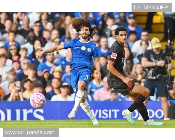 切尔西球员联手助攻埃斯特旺28秒绝杀精彩瞬间回顾